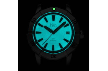 Image of Bia Rosie Dive Watches, Black Dil Black Strap, Steel, One Size, B2002