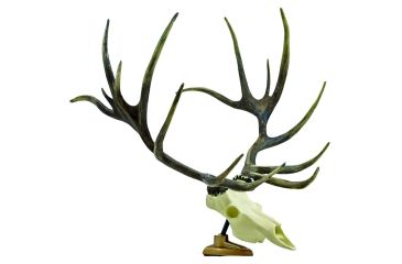 Image of Big Rack Figurine, Elk Raxx VFG1007