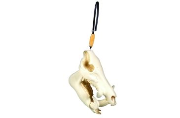 Image of Big Rack Figurine, Shedz, Wild Boar Skull, Bigrack VFG1031