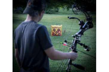 Image of BIGshot Ballistic 450X Field Point Bag Target, QP102