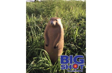 Image of BIGshot Big Shot Pro Hunter Groundhog Target