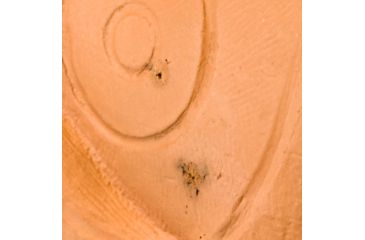 Image of Bigshot Big Shot Targets Pro Hunter Racoon &amp; Groundhog Combo Pack