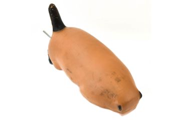 Image of Bigshot Big Shot Targets Pro Hunter Racoon &amp; Groundhog Combo Pack