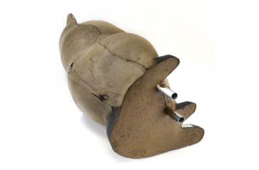 Image of Bigshot Big Shot Targets Pro Hunter Racoon &amp; Groundhog Combo Pack