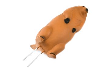 Image of Bigshot Big Shot Targets Pro Hunter Racoon &amp; Groundhog Combo Pack