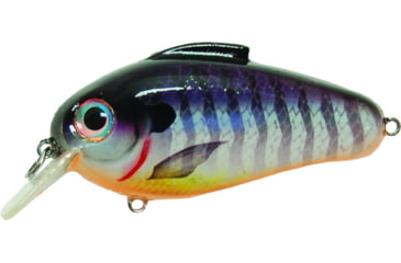 Image of Bill Lewis Echo 1.75 Crankbait, Floating, Blueberry Perch, 3in, 5/8oz, EC255
