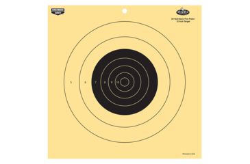 Image of Birchwood Casey 35022 Dirty Bird Pistol 12 Target 25 Yard, BC-35022
