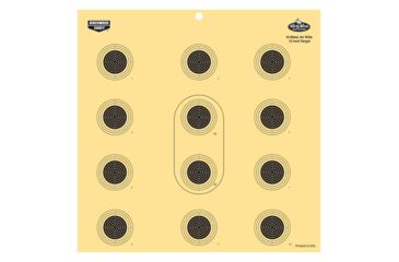 Image of Birchwood Casey 35024 Dirty Bird Air Rifle Target 12 12 Pack, BC-35024