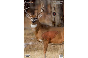 Image of Birchwood Casey Dirty Bird PreGame Animal Targets Deer 16.5x24 Inch 3 Per Package, BC-35401