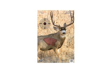 Image of Birchwood Casey Pregame Targets, BC-35402