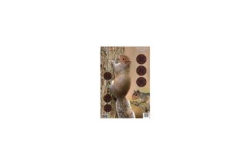 Image of Birchwood Casey Pregame Targets, BC-35406