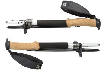 Image of Black Diamond Alpine FLZ Trekking Poles with Tip Protector, 110 cm, BD11220300001101