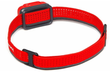 Image of Black Diamond Cosmo 300 Headlamp, Octane, BD6206608001ALL1