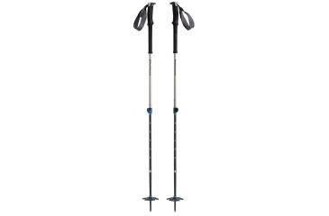 Image of Black Diamond Expedition 2 Ski Poles-105-155 cm