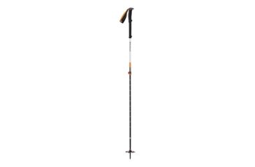 Image of Black Diamond Expedition 2 Ski Poles, 145cm, BD11157100001451