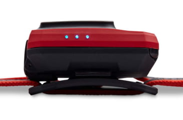 Image of Black Diamond Storm 450 Headlamp, Octane, BD6206718001ALL1