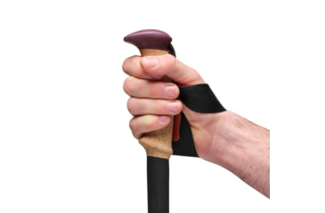 Image of Black Diamond Trail Cork Trekking Poles, Fig, One Size, BD1100656052ALL1