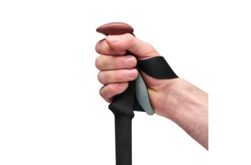 Image of Black Diamond Trail Trekking Poles, Iron Red, One Size, BD1100456053ALL1