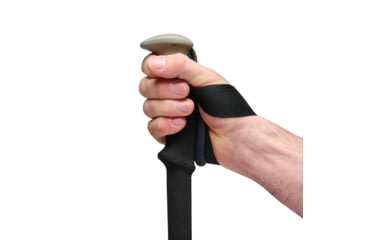 Image of Black Diamond Trail Trekking Poles, Pine Smoke, One Size, BD1100453060ALL1