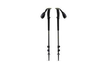 Image of Black Diamond Trail Trekking Poles, Pine Smoke, One Size, BD1100453060ALL1