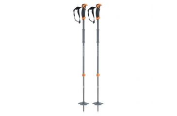 Image of Black Diamond Traverse Ski Poles