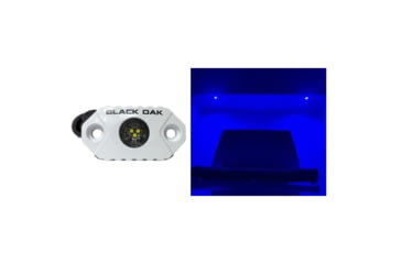 Image of Black Oak LED Rock Accent LED Light, White Housing, Blue, MAL-B