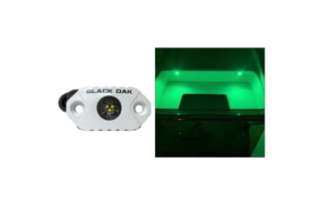 Image of Black Oak LED Rock Accent LED Light, White Housing, Green, MAL-G