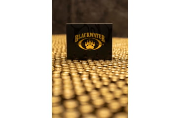 Image of Blackwater Ammunition Defense Grade 9mm 9mm 115 Grain Jacketed Hollow Point Brass Cased Centerfire Pistol Ammo, 20 Round, BWA-5007