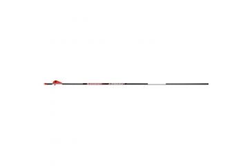 Image of BloodSport Judgement Arrows, 400 2 in. Vane 6 pk. PSB140106