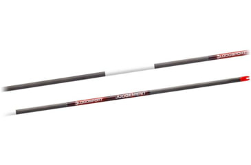 Image of BloodSport Judgement Bare Shaft 300, 12 Pack, Black, BLS-BLD130B