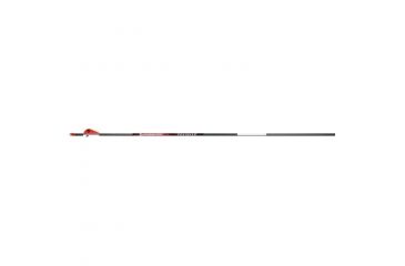 Image of BloodSport Punisher Arrows, 500 2 in. Vane 6 pk. B10050406