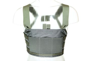 Image of Blue Force Gear Ten-Speed Sr25 Chest Rig, Wolf Gray TSP-CHESTRIG-SR25-WF