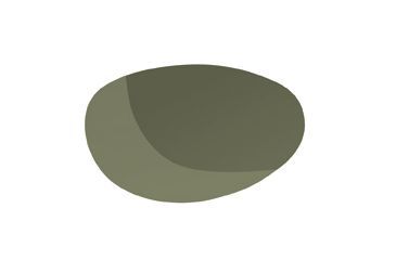 Image of Bolle Bole RL Pair, TNS Replacement Lenses 50337