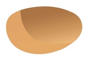 Image of Bolle Chase Eaglevision 2 Dark Lens 50290