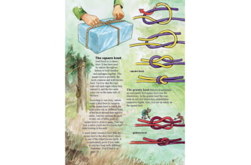 Image of Books My First Book of Knots