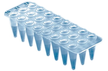 Image of BrandTech Pcr Plate 24 Well White Pk40 781412, Unit PK