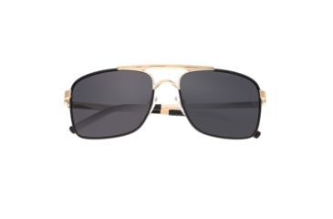 Image of Breed Sunglasses Draco Sunglasses, Gold / Black BSG047GD