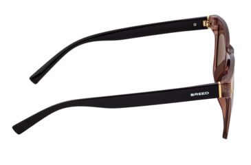 Image of Breed Sunglasses Pictor Polarized Sunglasses - Men's, Brown/Black, One Size, BSG065BN
