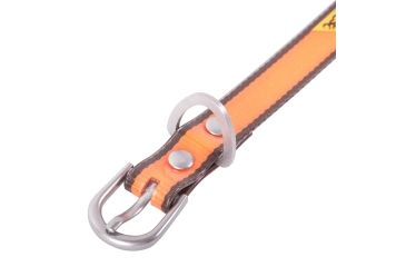 Image of Browning Collar,Perf,1in18-28in, Safety Orange, Large BPT1006