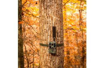 Image of Browning Defender Pro Scout Max HD AI Cellular Camera, 46 MP, 1502759