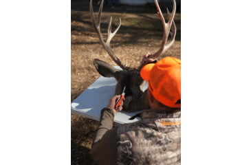 Image of Browning Primal 2 Blade Folding Knife - Box, 2.75in, HRC 50-55/HRC 55-59, Drop Point/Scalpel, Composite Handle, N, 3220462B