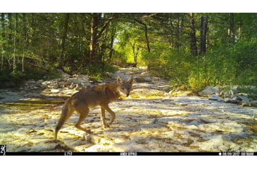 Image of Browning Trail Cameras 24 MP Dark Ops Pro Xd Dual Lens Full HD Trail Camera, CAMO, BTC-6PXD