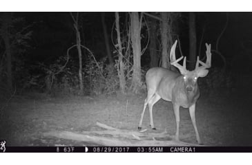 Image of Browning Trail Cameras Strike Force Hd Max, Camo, BTC-5HD-MAX