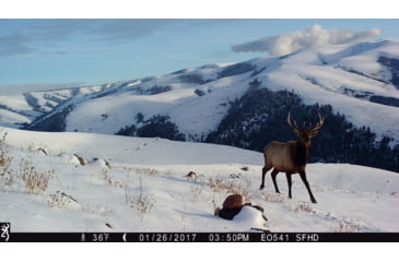 Image of Browning Trail Cameras Strike Force Hd Max, Camo, BTC-5HD-MAX