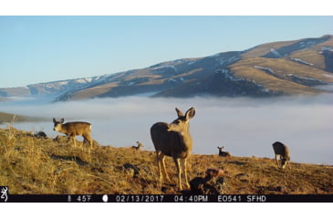 Image of Browning Trail Cameras Strike Force Pro-X 1080 Trail Camera, BTC 5PX-1080