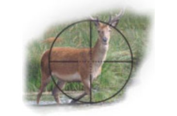 Image of BSA Optics Tactical Weapon Series 4 X30 Rifle Scope w/ Rings, AR &amp; SKS Mount, Matte TW4X30