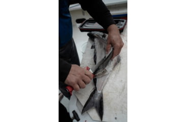 Image of Bubba Blade Multi-Flex Interchangeable Fishing Knife Set, 1991724