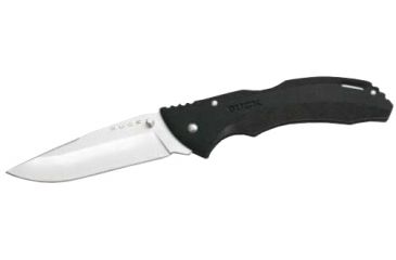 Image of Buck Knives Bantam BHW 0286BKS