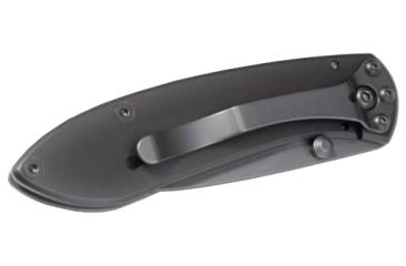 Image of Buck Knives Nobleman Titanium Coated Folding Knife, 2.63 in, Titanium, Drop Point, Titanium, Titanium Handle, 0327TTSB/5860