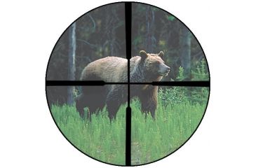Image of Burris Plex Reticle